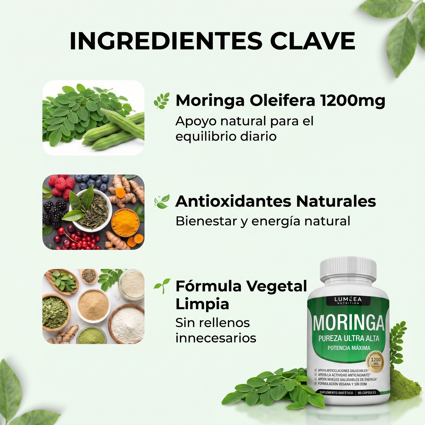Lumeea Moringa Balance